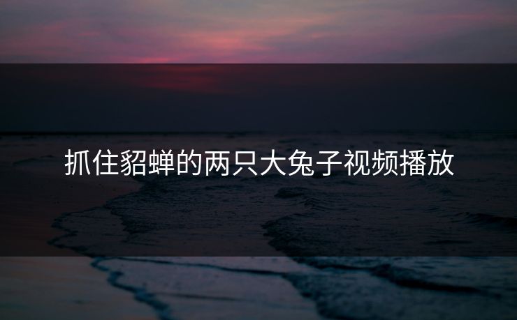 抓住貂蝉的两只大兔子视频播放