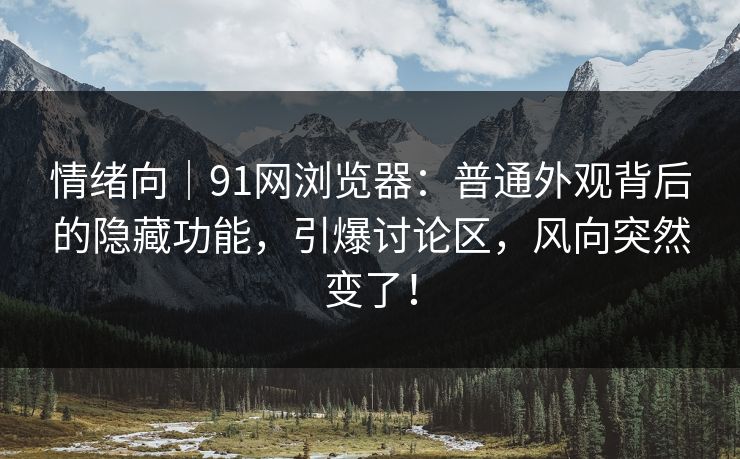 情绪向｜91网浏览器：普通外观背后的隐藏功能，引爆讨论区，风向突然变了！